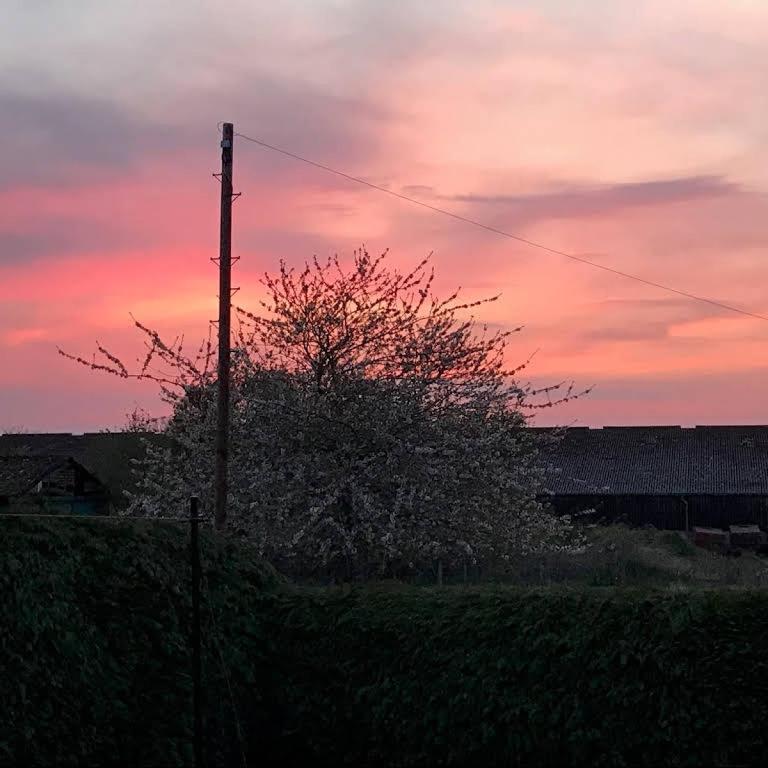 Broomlea Ardersier Exteriér fotografie