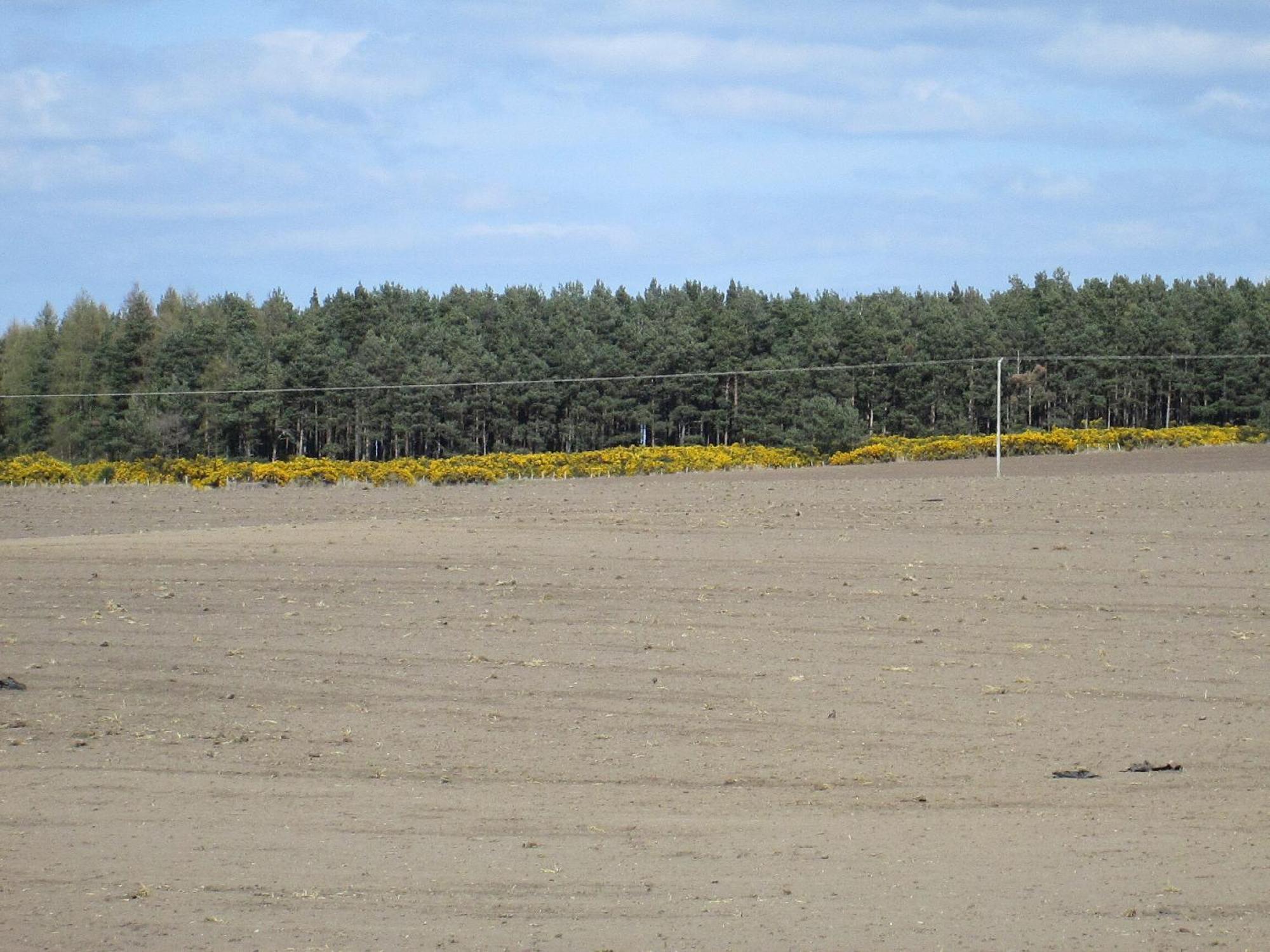 Broomlea Ardersier Exteriér fotografie